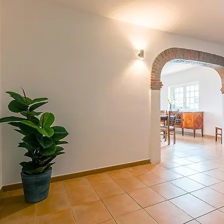 Tatil Evi Marmeleira House Terrace Carregado
